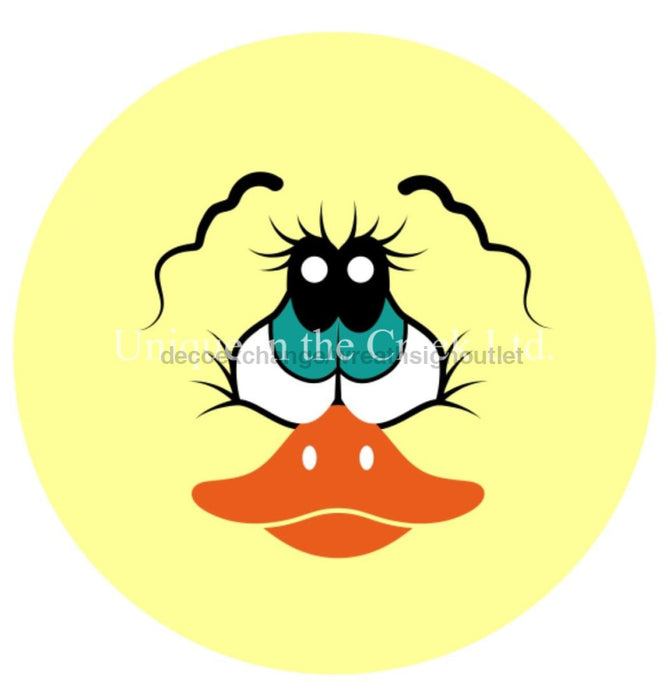 VINYL DECAL | DUCK | FACE | EVERYDAY | SPRING - Unique in the Creek LTD