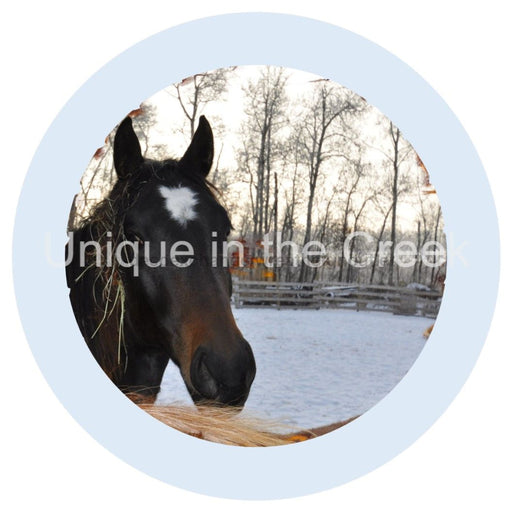 VINYL DECAL | HORSE | FARMHOUSE | PETS | EVERYDAY | WINTER - Unique in the Creek LTD