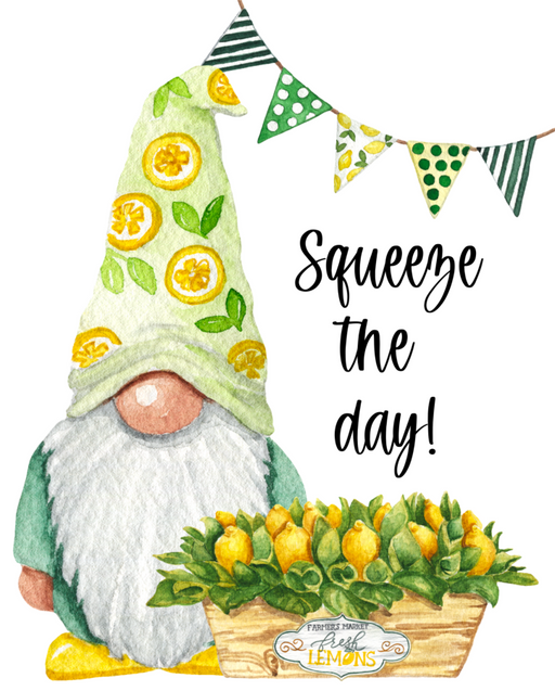 Wreath Sign, Summer Sign, Lemon Sign, Squeeze The Day, 8x10" Metal Sign DECOE-746, Sign For Wreath, DecoExchange - DecoExchange