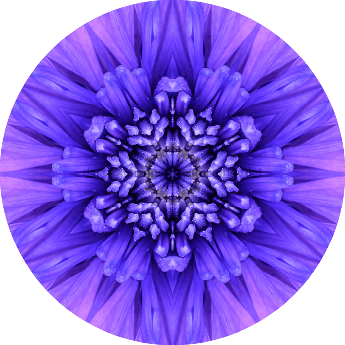 Geometric Flower Center Blue Decoe-W-Fc-0012 6 Wood