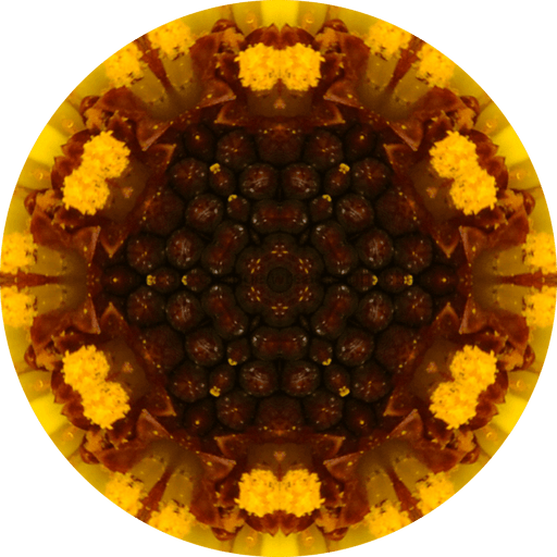 Geometric Flower Center Brown Decoe-W-Fc-0013 6 Wood