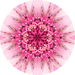 Geometric Flower Center Pink Decoe-Fc-0007 6 metal