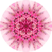 Geometric Flower Center Pink Decoe-W-Fc-0007 6 Wood