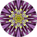 Geometric Flower Center Purple Decoe-Fc-0014 6 metal