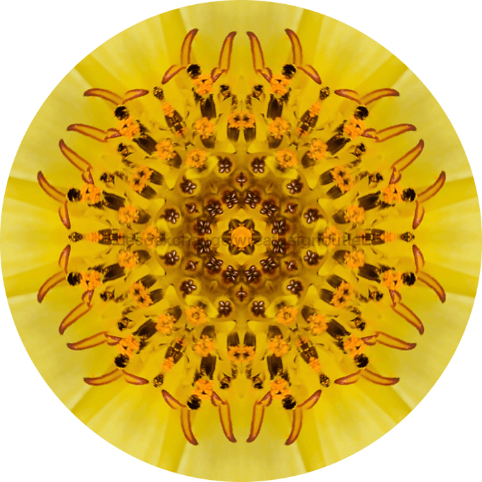Geometric Flower Center Yellow Decoe-W-Fc-0015 6 Wood