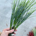 Plastic Long Grass Bush Fs.green 43862 Greenery