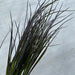 Plastic Long Grass Bush Pur 43867 Greenery