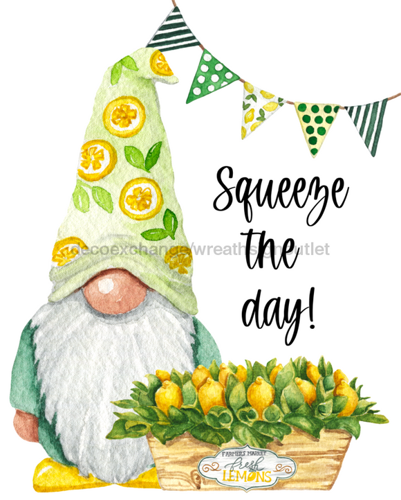 Wreath Sign, Summer Sign, Lemon Sign, Squeeze The Day, 8x10
